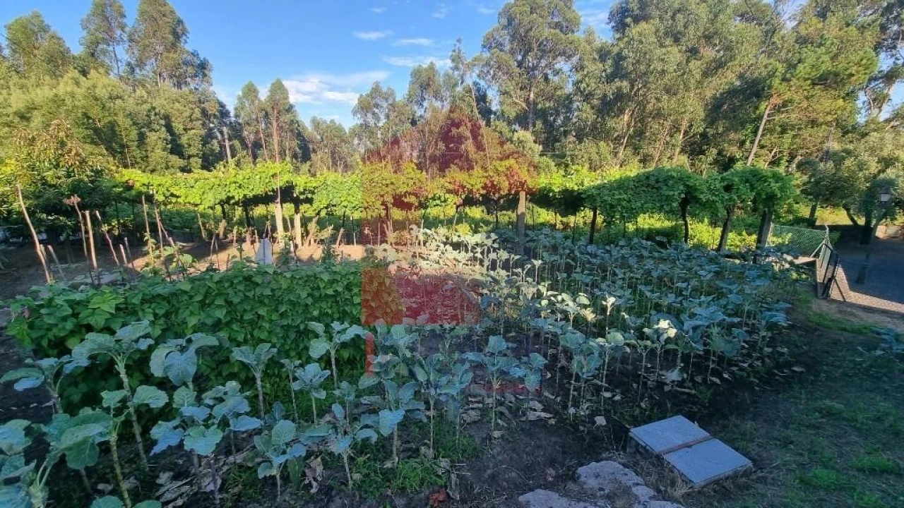 Terreno para Venda em Cervães Foto 22