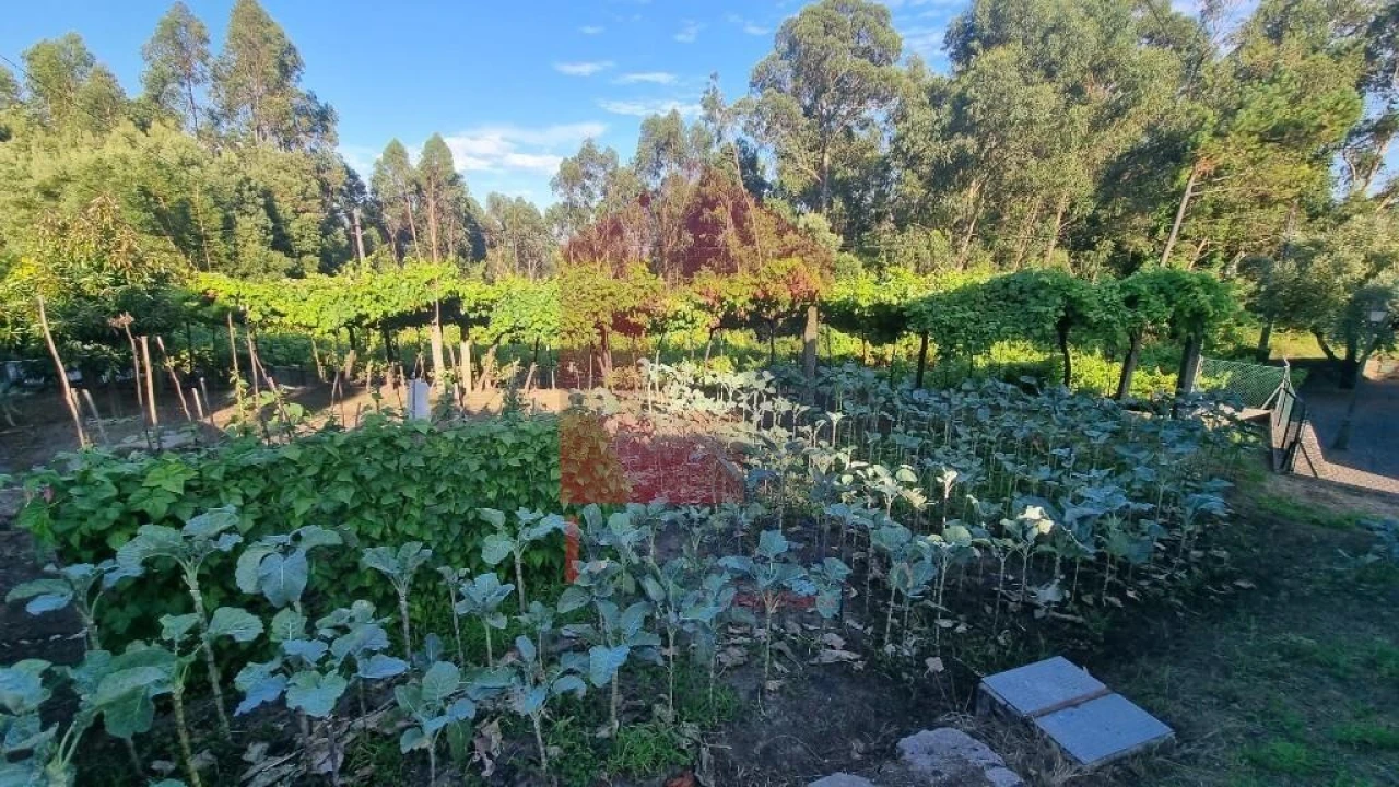 Terreno para Venda em Cervães Foto 24