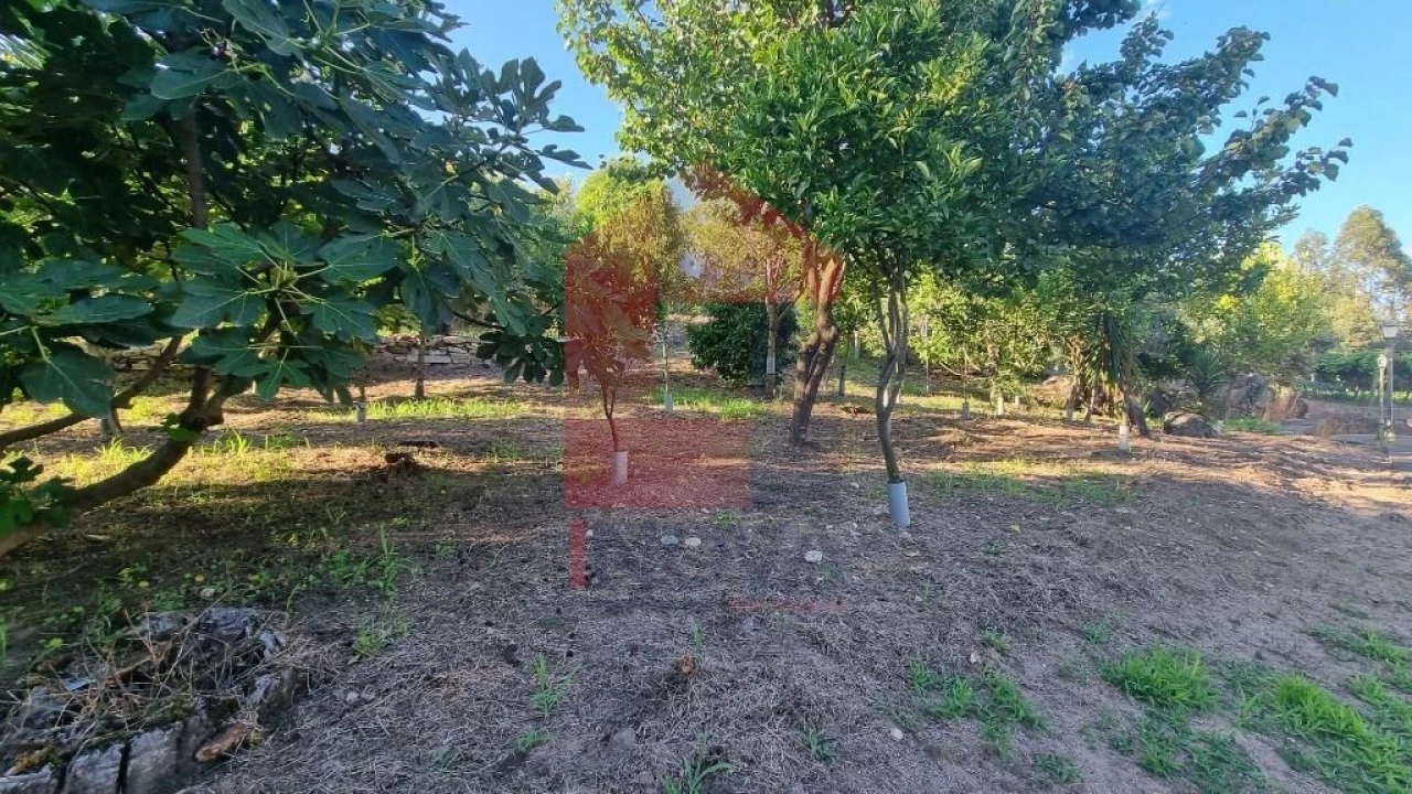 Terreno para Venda em Cervães Foto 14