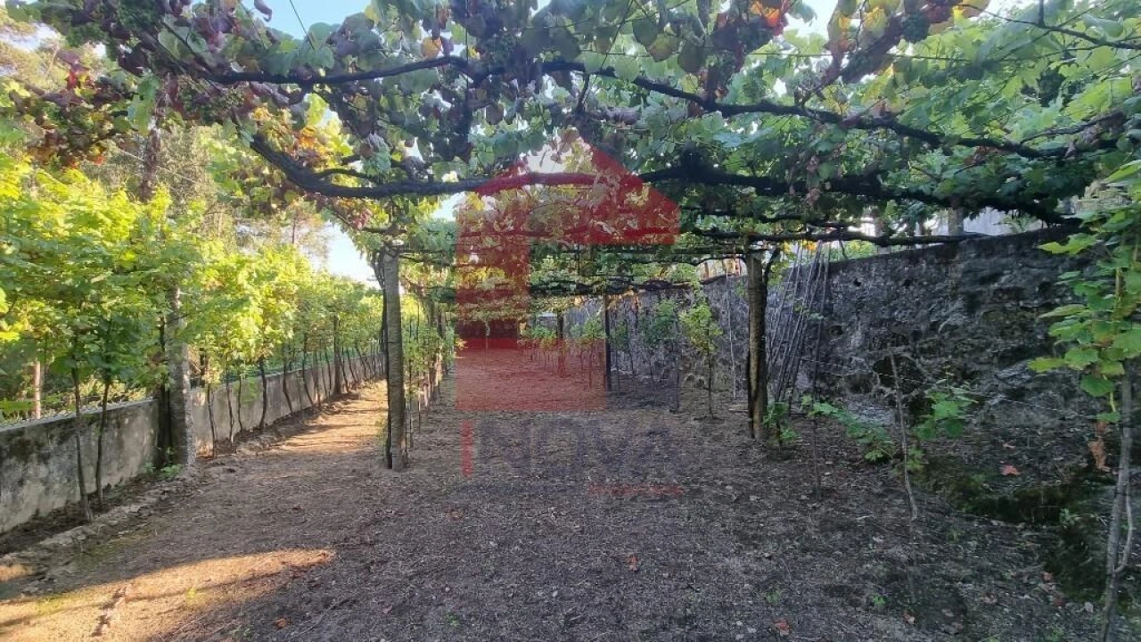 Terreno para Venda em Cervães Foto 33