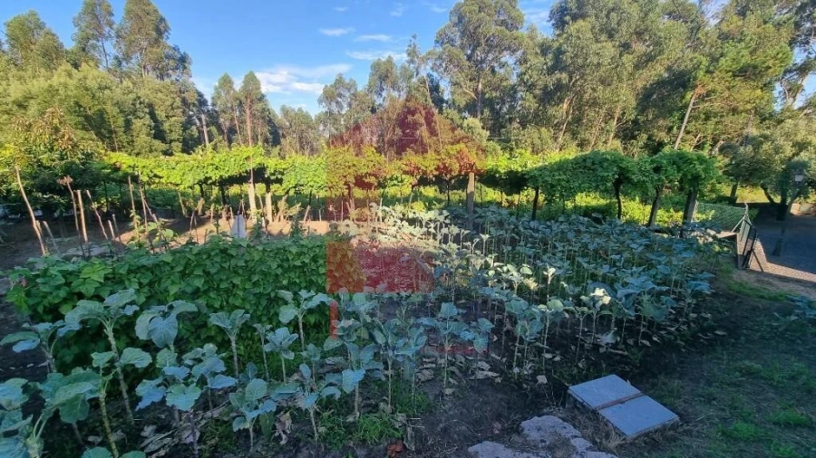 Terreno para Venda em Cervães Foto 22