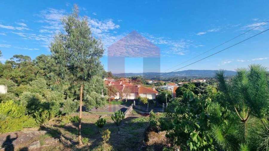 Terreno para Venda em Cervães Foto 6