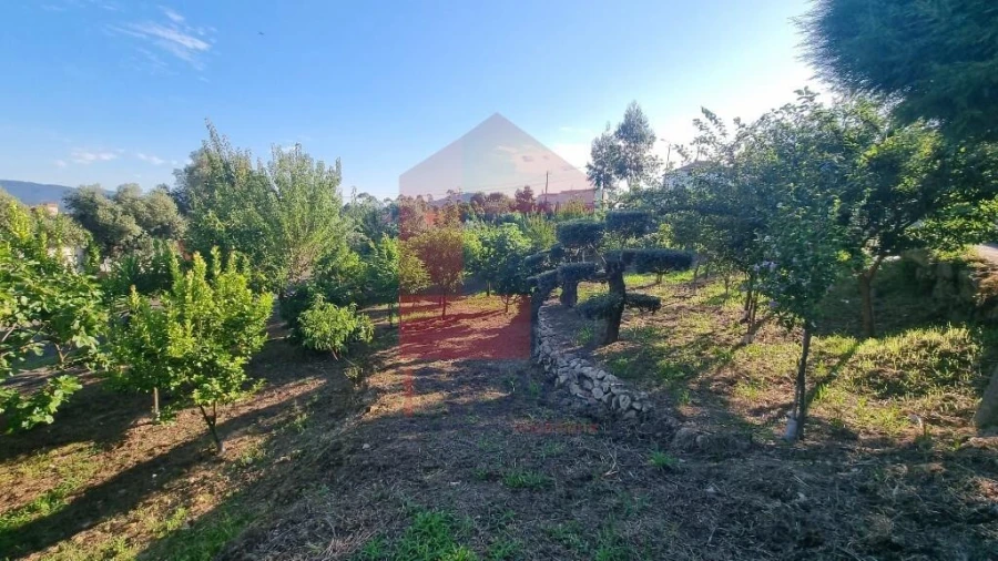 Terreno para Venda em Cervães Foto 10
