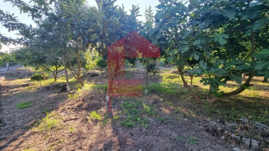 Terreno para Venda em Cervães Foto 11