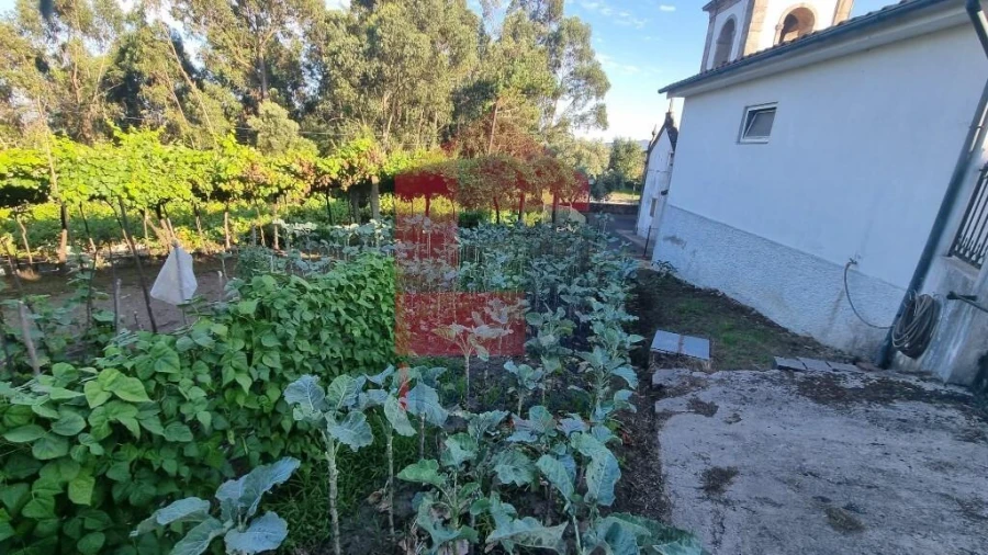 Terreno para Venda em Cervães Foto 25