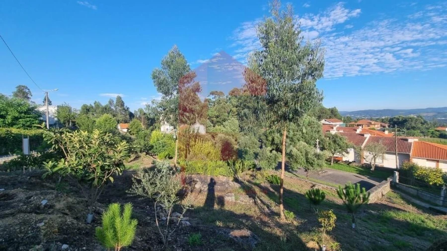 Terreno para Venda em Cervães Foto 4