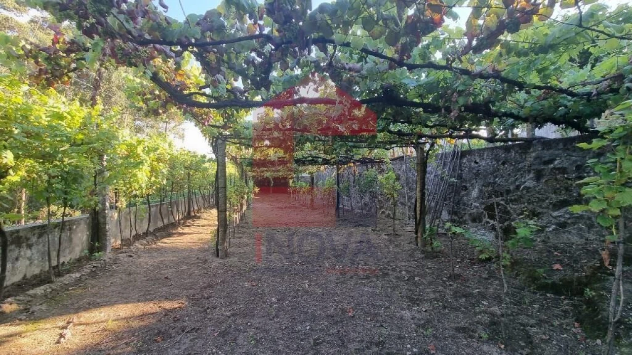 Terreno para Venda em Cervães Foto 31