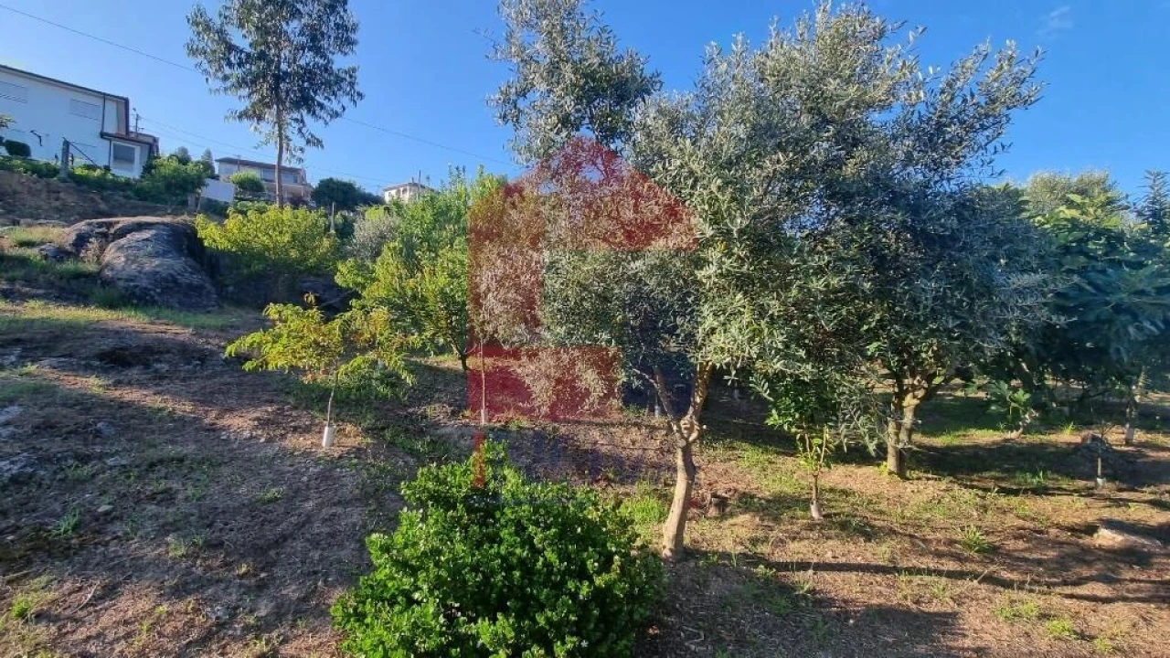 Terreno para Venda em Cervães Foto 15