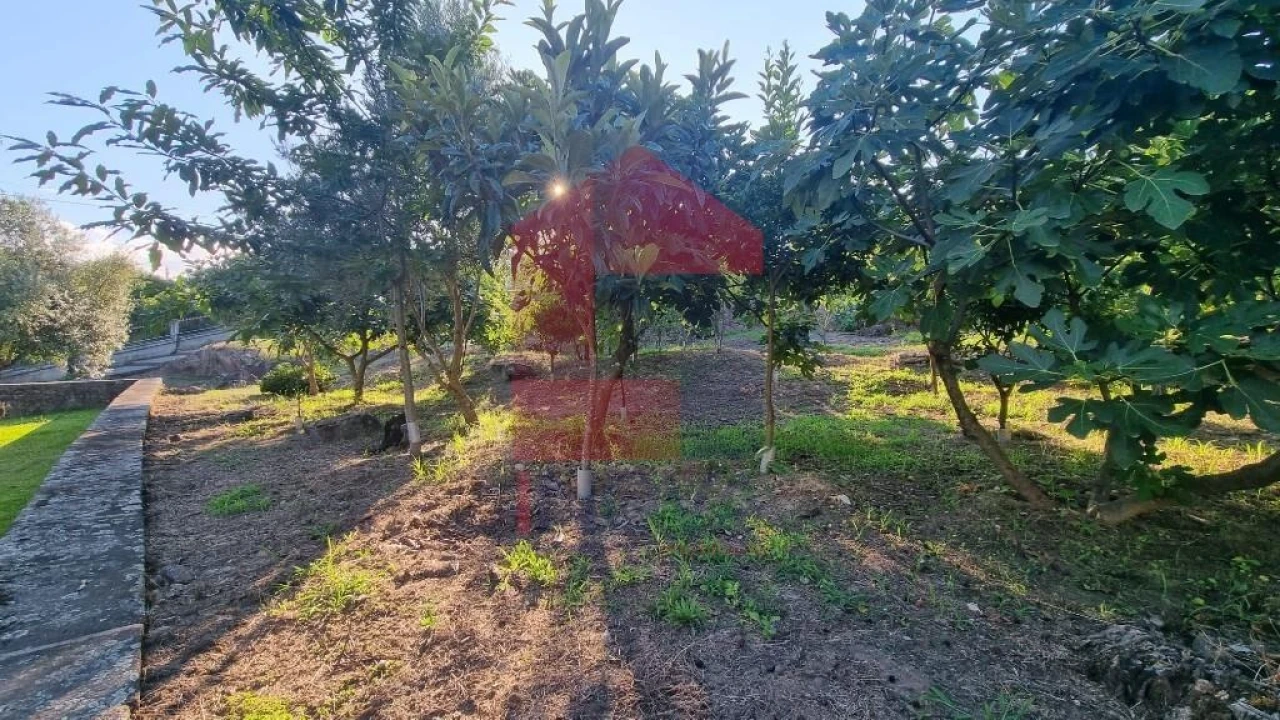 Terreno para Venda em Cervães Foto 12