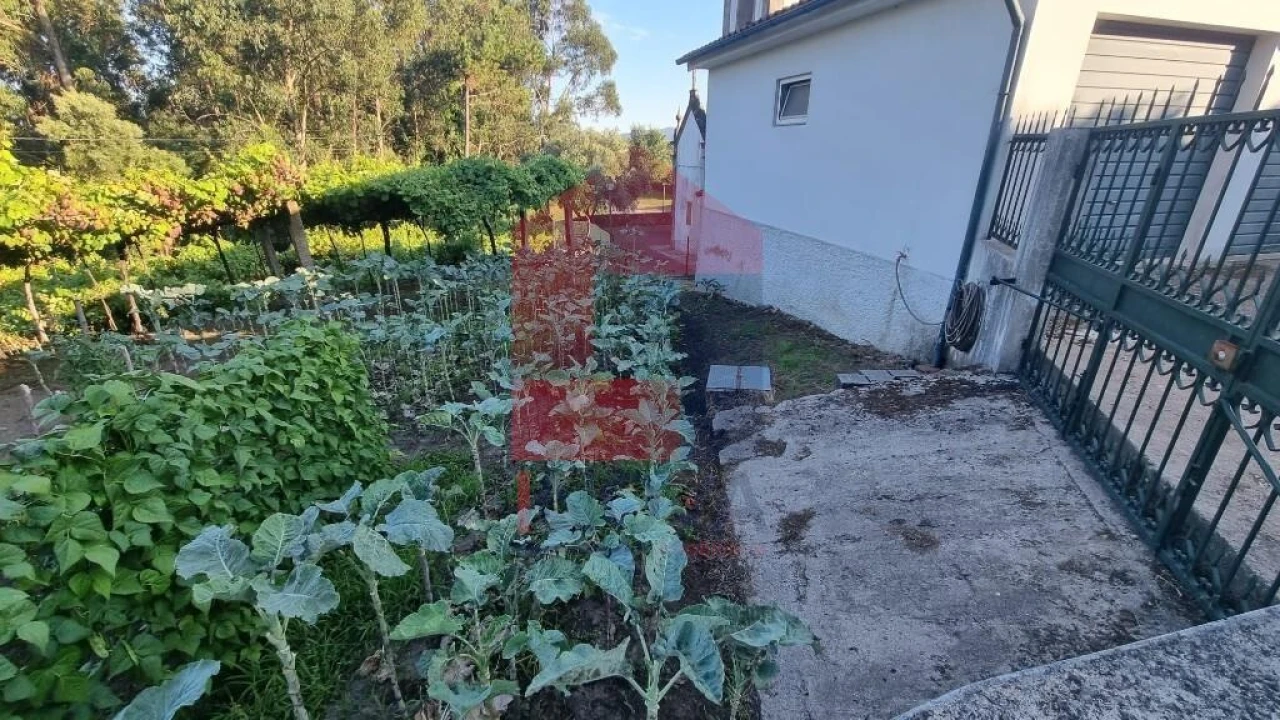 Terreno para Venda em Cervães Foto 21