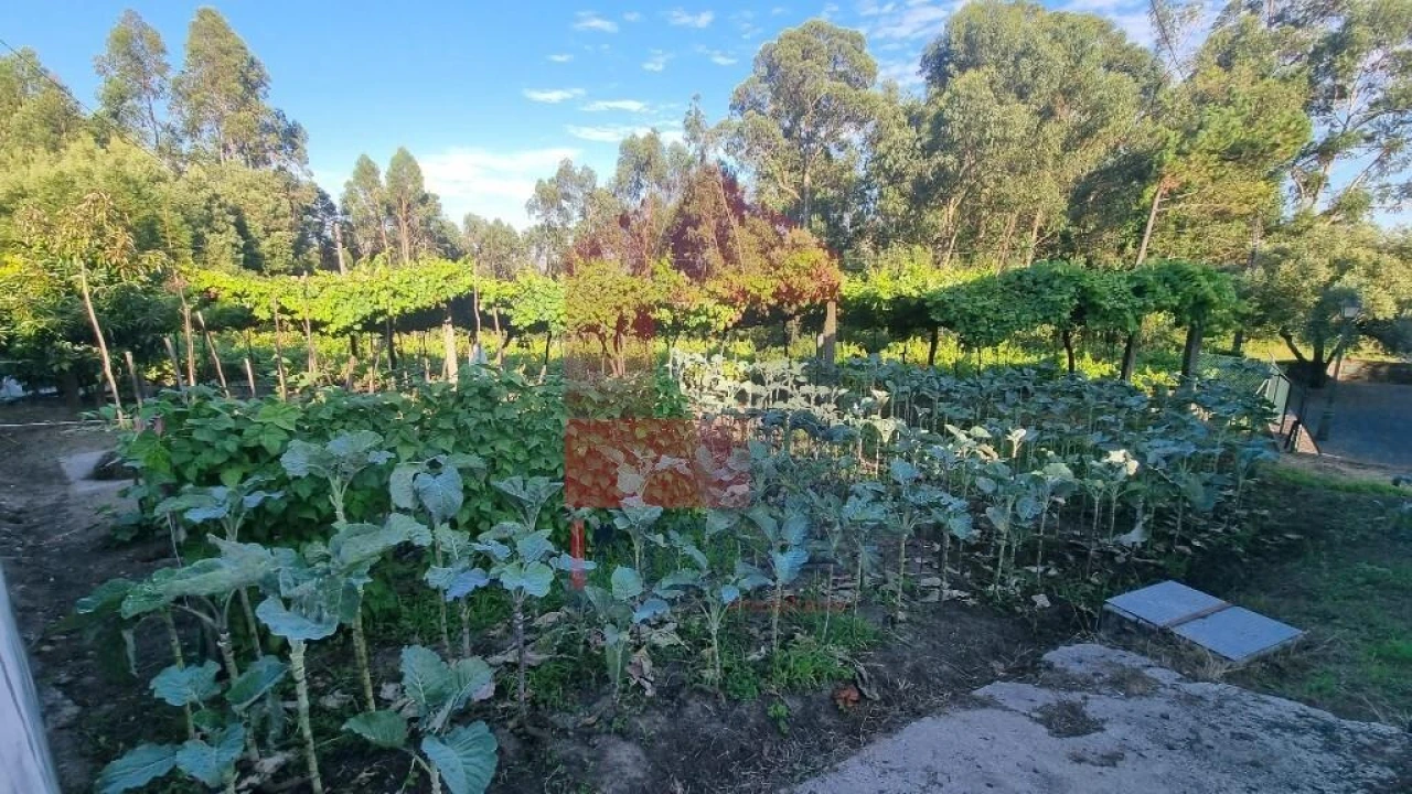 Terreno para Venda em Cervães Foto 23