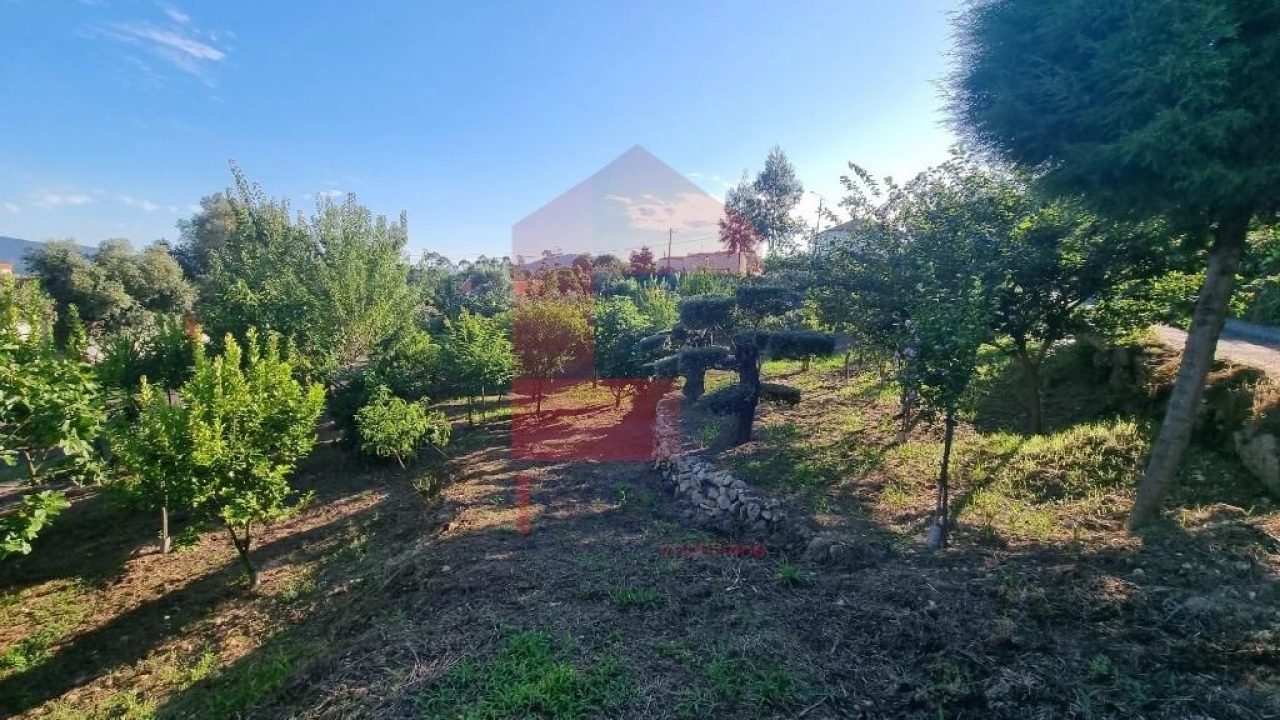 Terreno para Venda em Cervães Foto 13