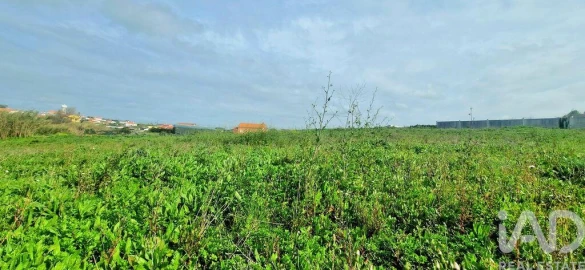 Terreno para Venda em Ericeira