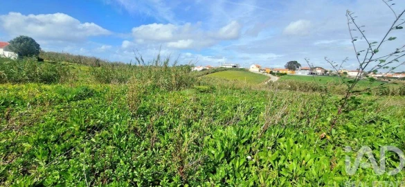 Terreno para Venda em Ericeira