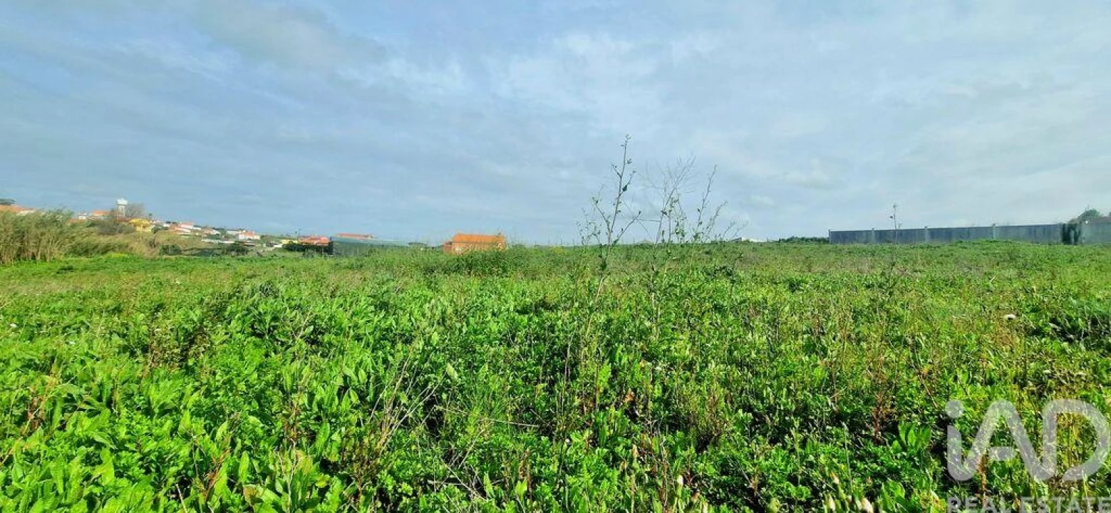 Terreno para Venda em Ericeira Foto 11