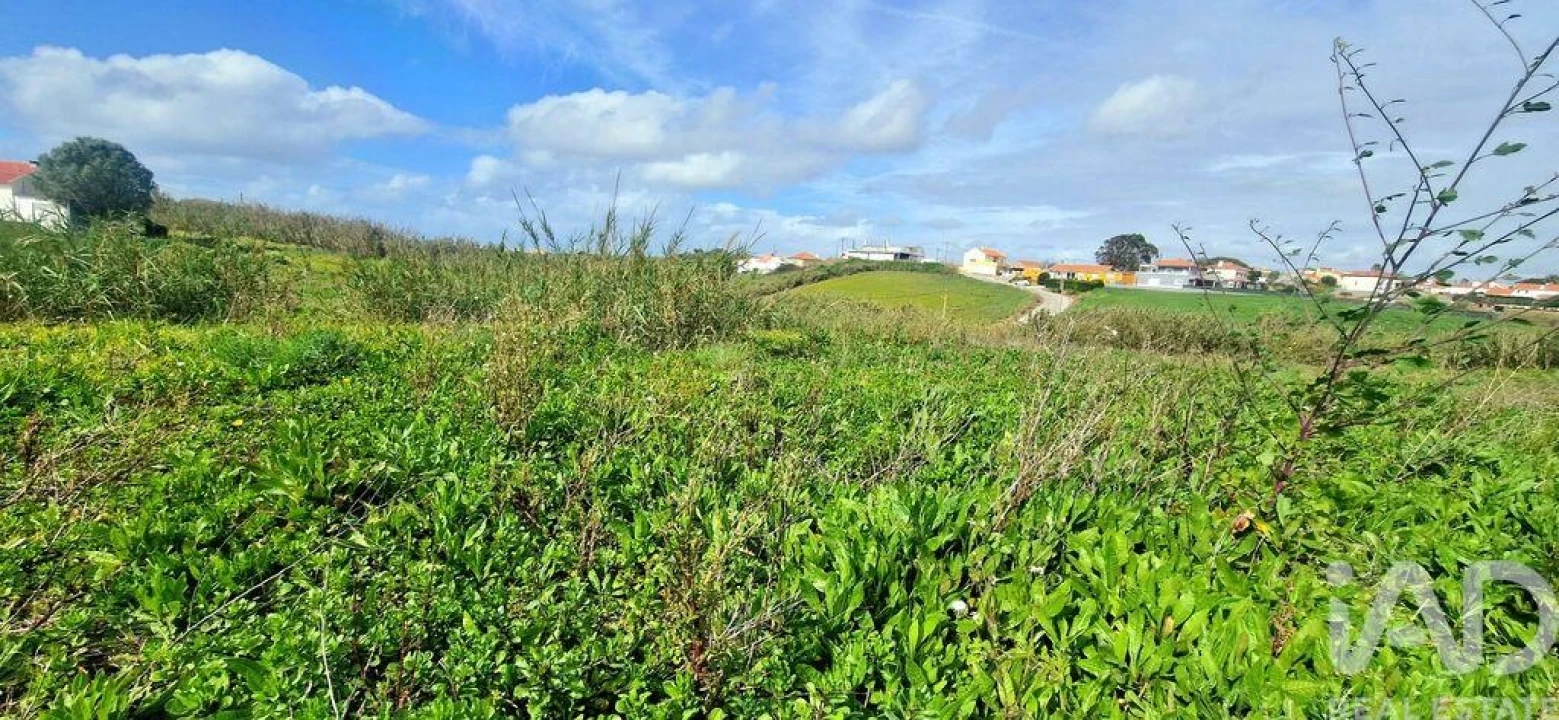 Terreno para Venda em Ericeira Foto 12