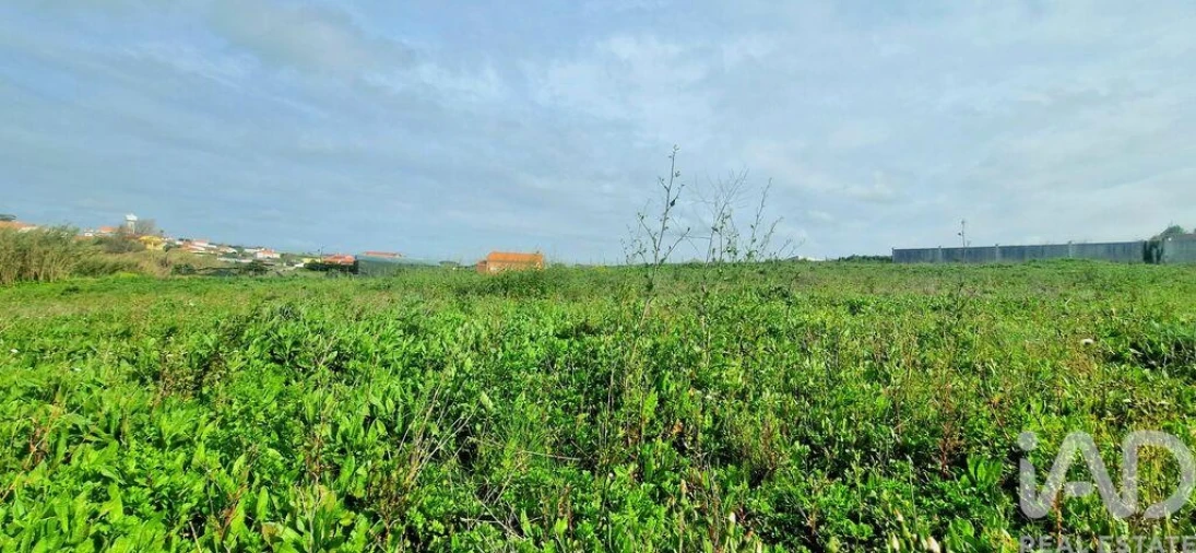 Terreno para Venda em Ericeira Foto 11