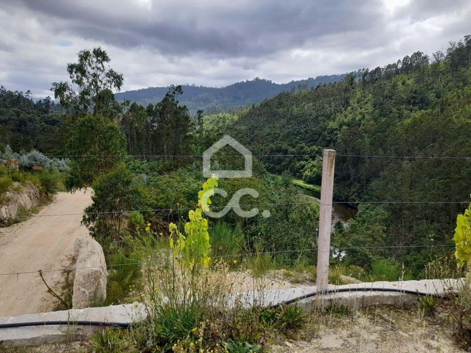 Quinta para Venda em São João da Serra Foto 10