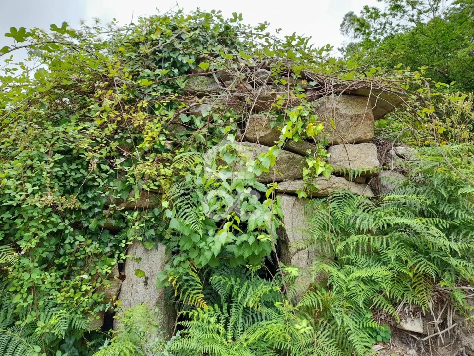 Quinta para Venda em São João da Serra Foto 32
