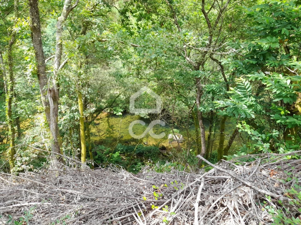 Quinta para Venda em São João da Serra Foto 34