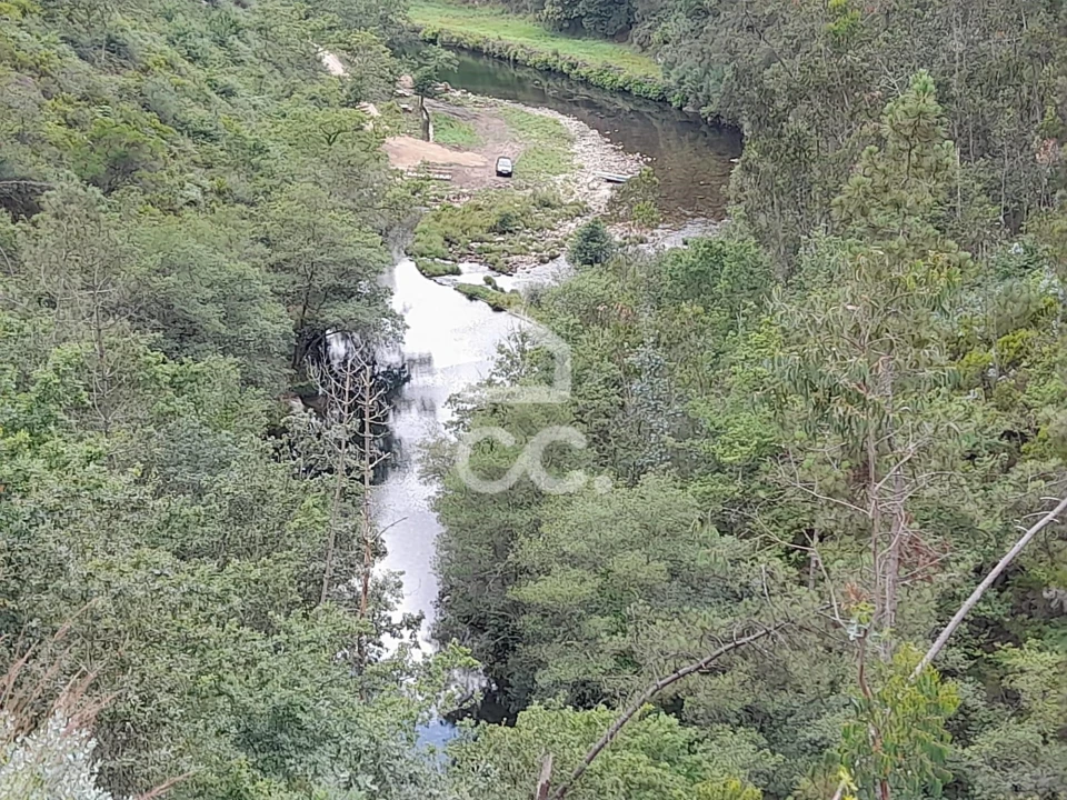 Quinta para Venda em São João da Serra Foto 24