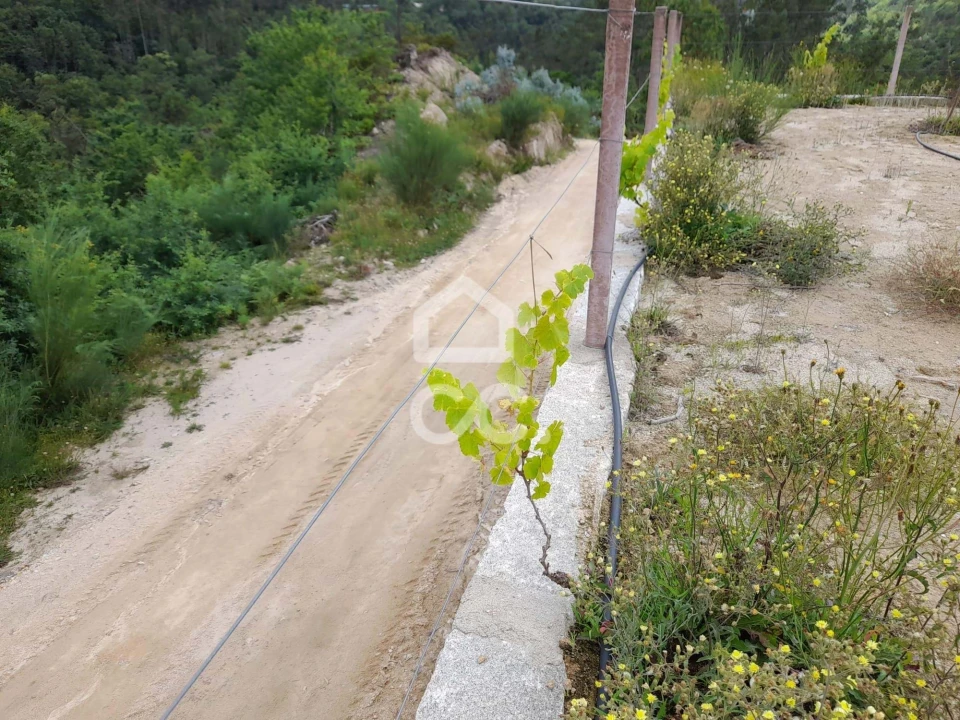 Quinta para Venda em São João da Serra Foto 16