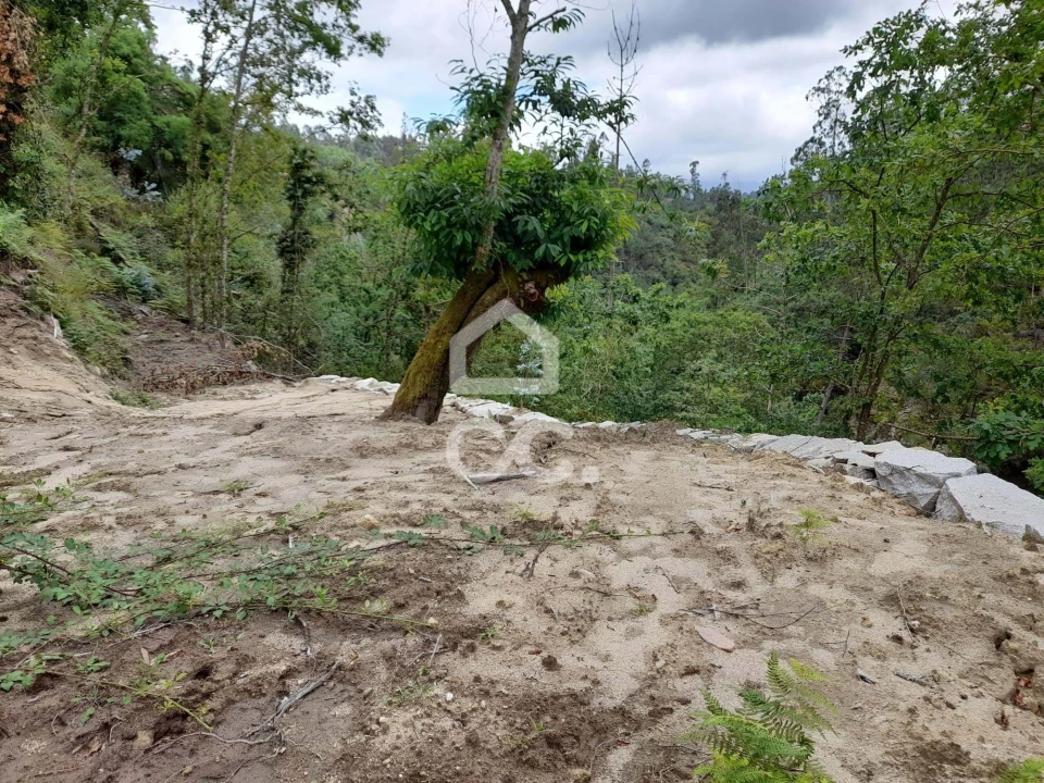 Quinta para Venda em São João da Serra Foto 37