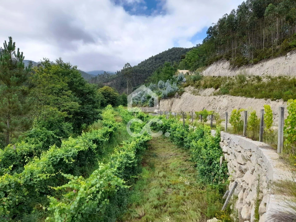 Quinta para Venda em São João da Serra Foto 12