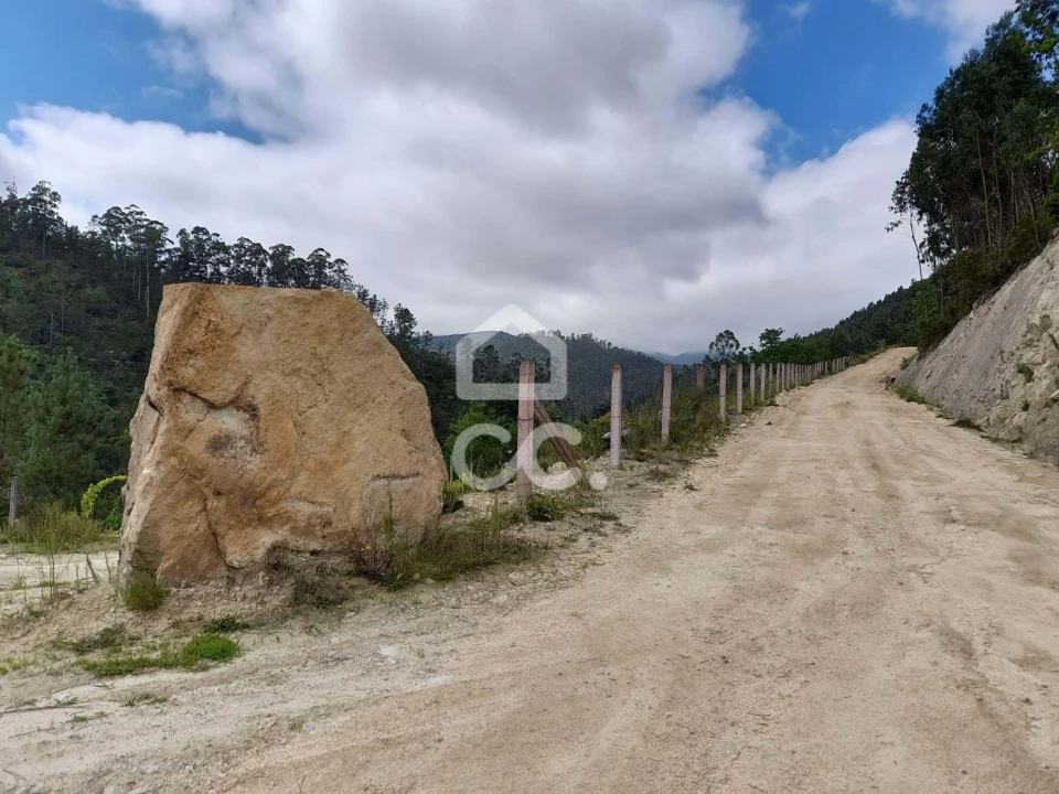 Quinta para Venda em São João da Serra Foto 21