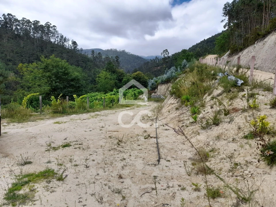 Quinta para Venda em São João da Serra Foto 20