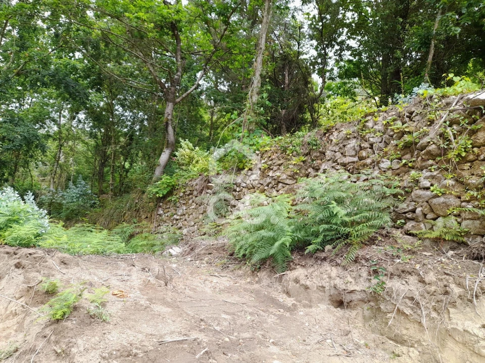 Quinta para Venda em São João da Serra Foto 29