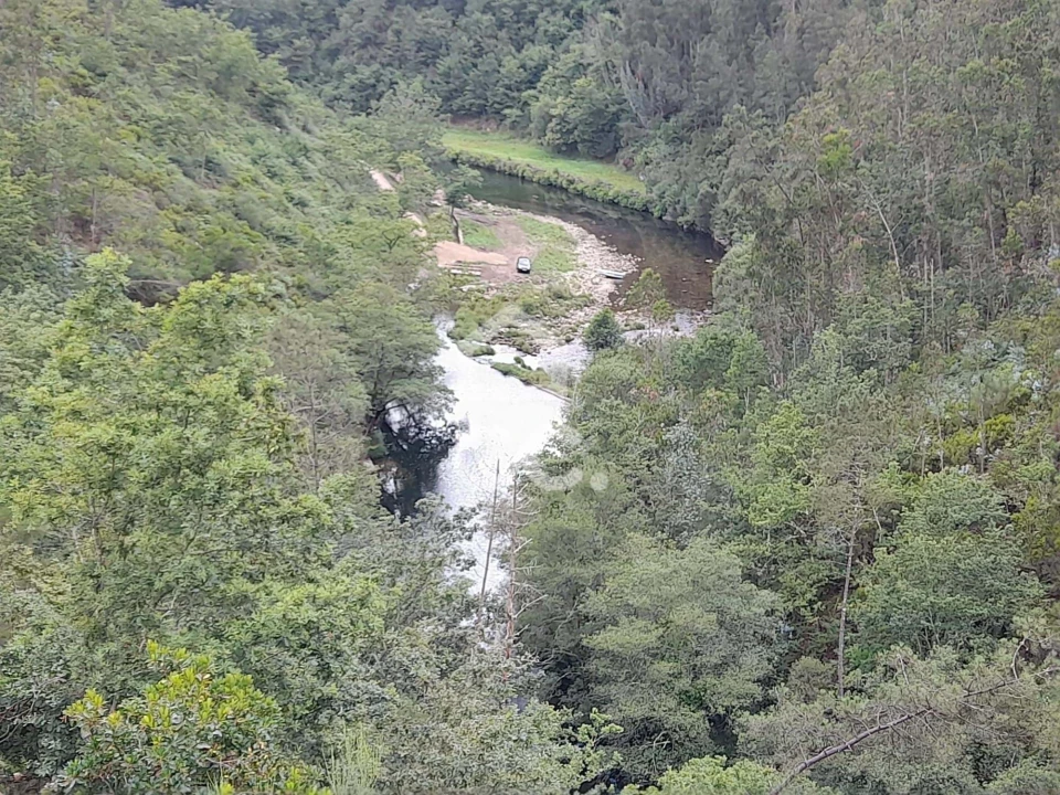 Quinta para Venda em São João da Serra Foto 2