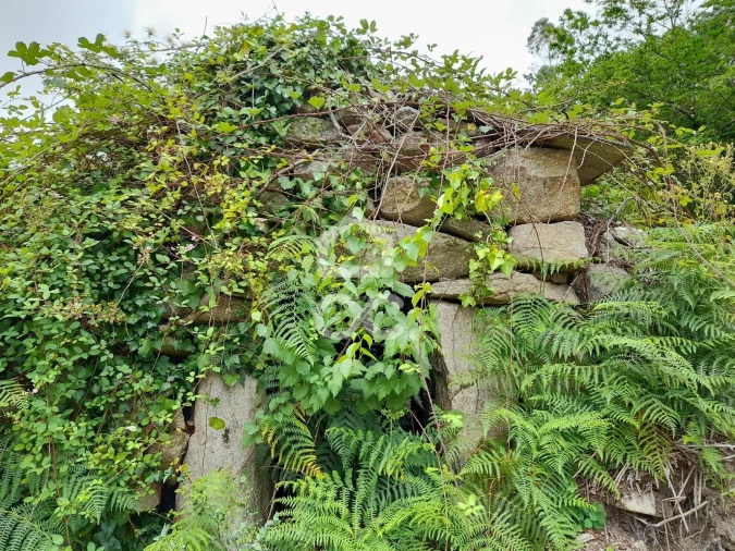 Quinta para Venda em São João da Serra Foto 32