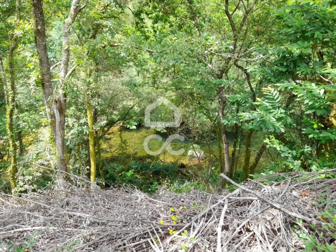 Quinta para Venda em São João da Serra Foto 34