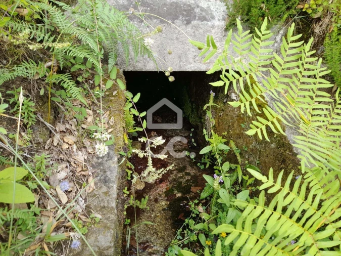 Quinta para Venda em São João da Serra Foto 7