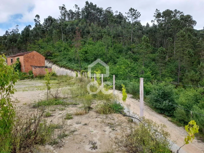 Quinta para Venda em São João da Serra Foto 13
