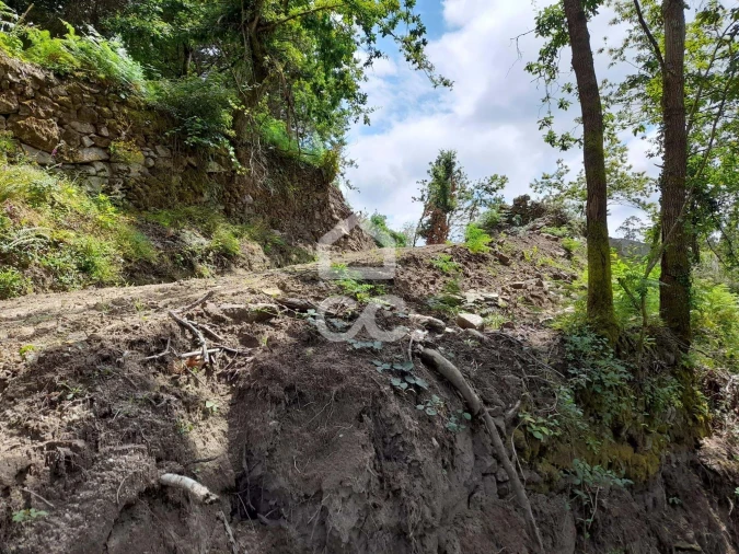 Quinta para Venda em São João da Serra Foto 39