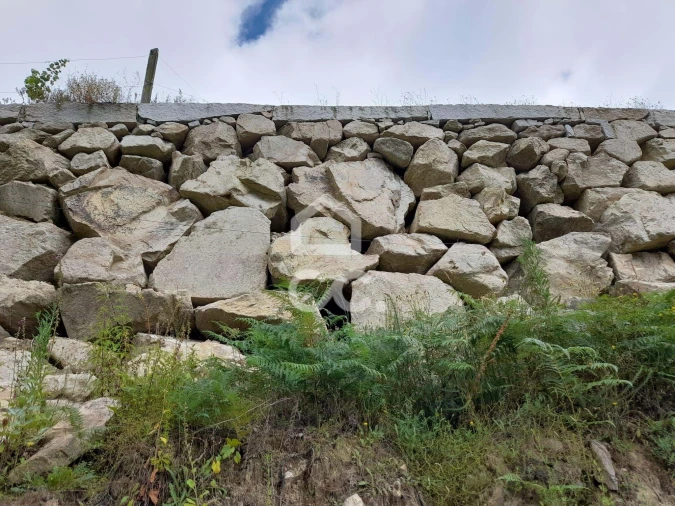Quinta para Venda em São João da Serra Foto 25