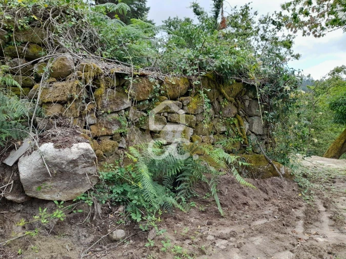 Quinta para Venda em São João da Serra Foto 36