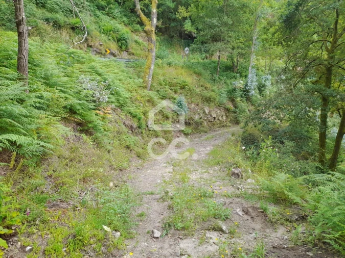 Quinta para Venda em São João da Serra Foto 4