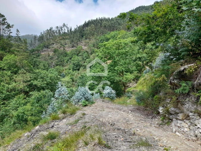 Quinta para Venda em São João da Serra Foto 33