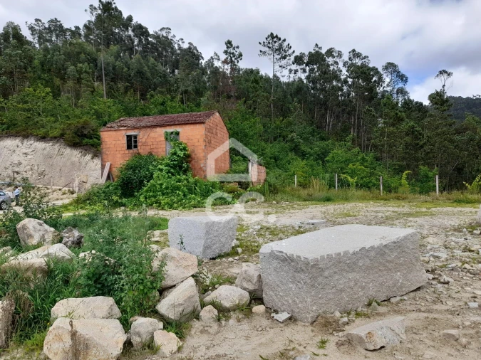 Quinta para Venda em São João da Serra Foto 15