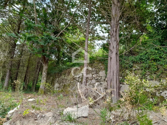 Quinta para Venda em São João da Serra Foto 30