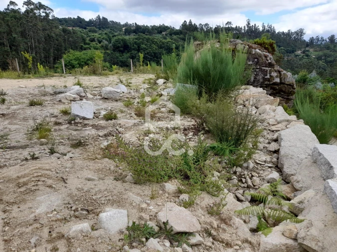 Quinta para Venda em São João da Serra Foto 17
