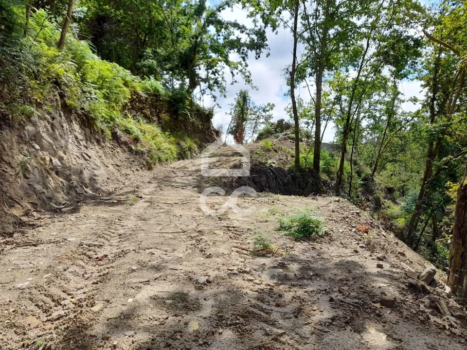 Quinta para Venda em São João da Serra Foto 38