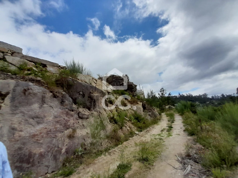 Quinta para Venda em São João da Serra Foto 27