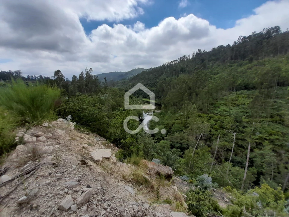 Quinta para Venda em São João da Serra Foto 26