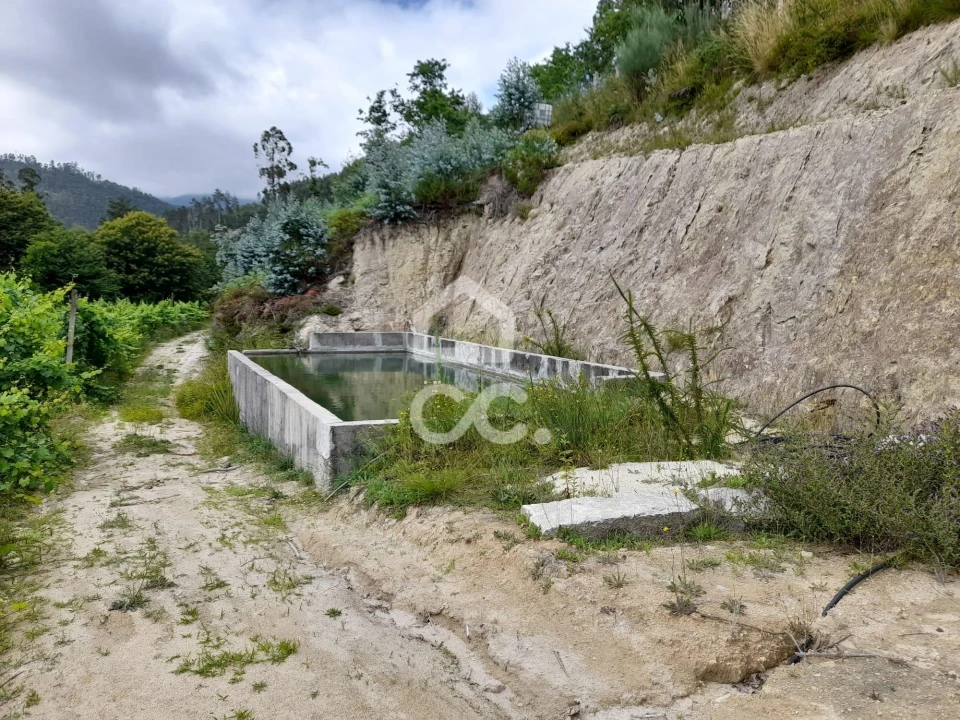 Quinta para Venda em São João da Serra Foto 8