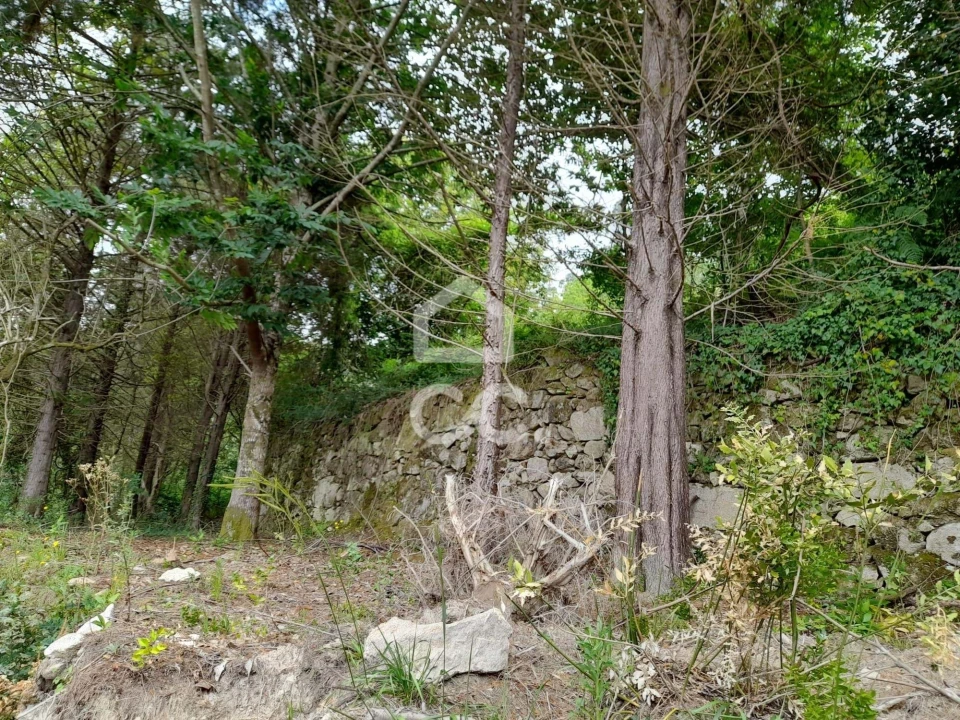 Quinta para Venda em São João da Serra Foto 30