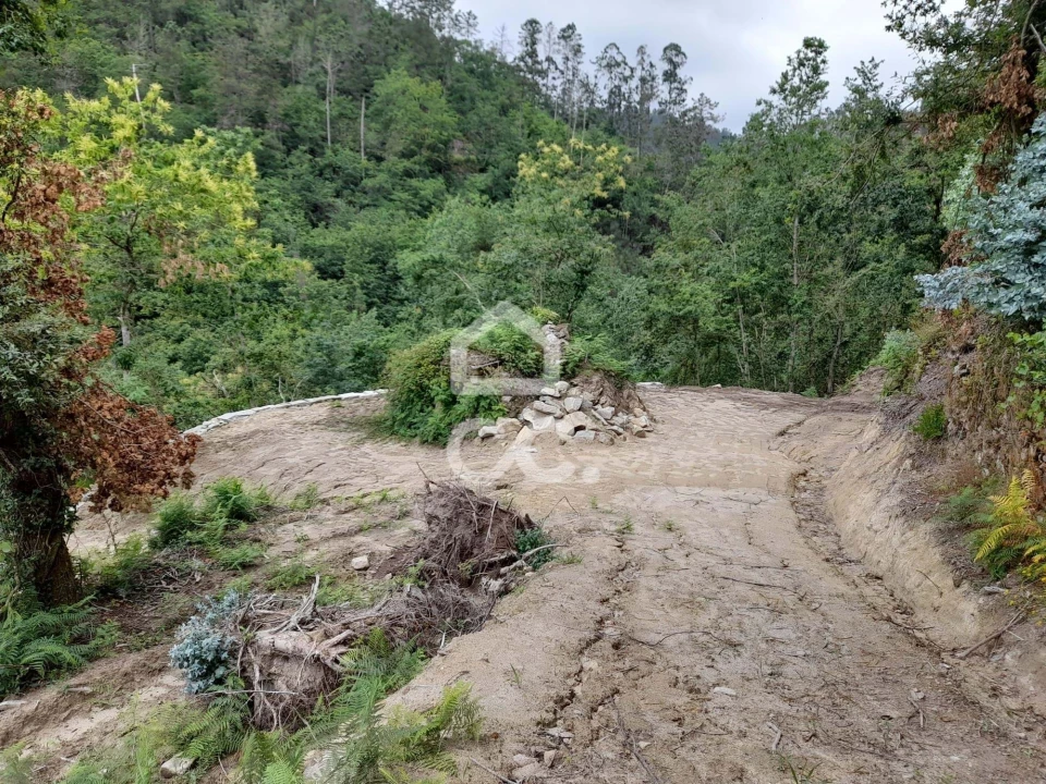 Quinta para Venda em São João da Serra Foto 31
